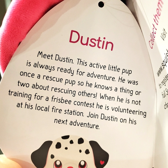 squishmallow dalmatian name